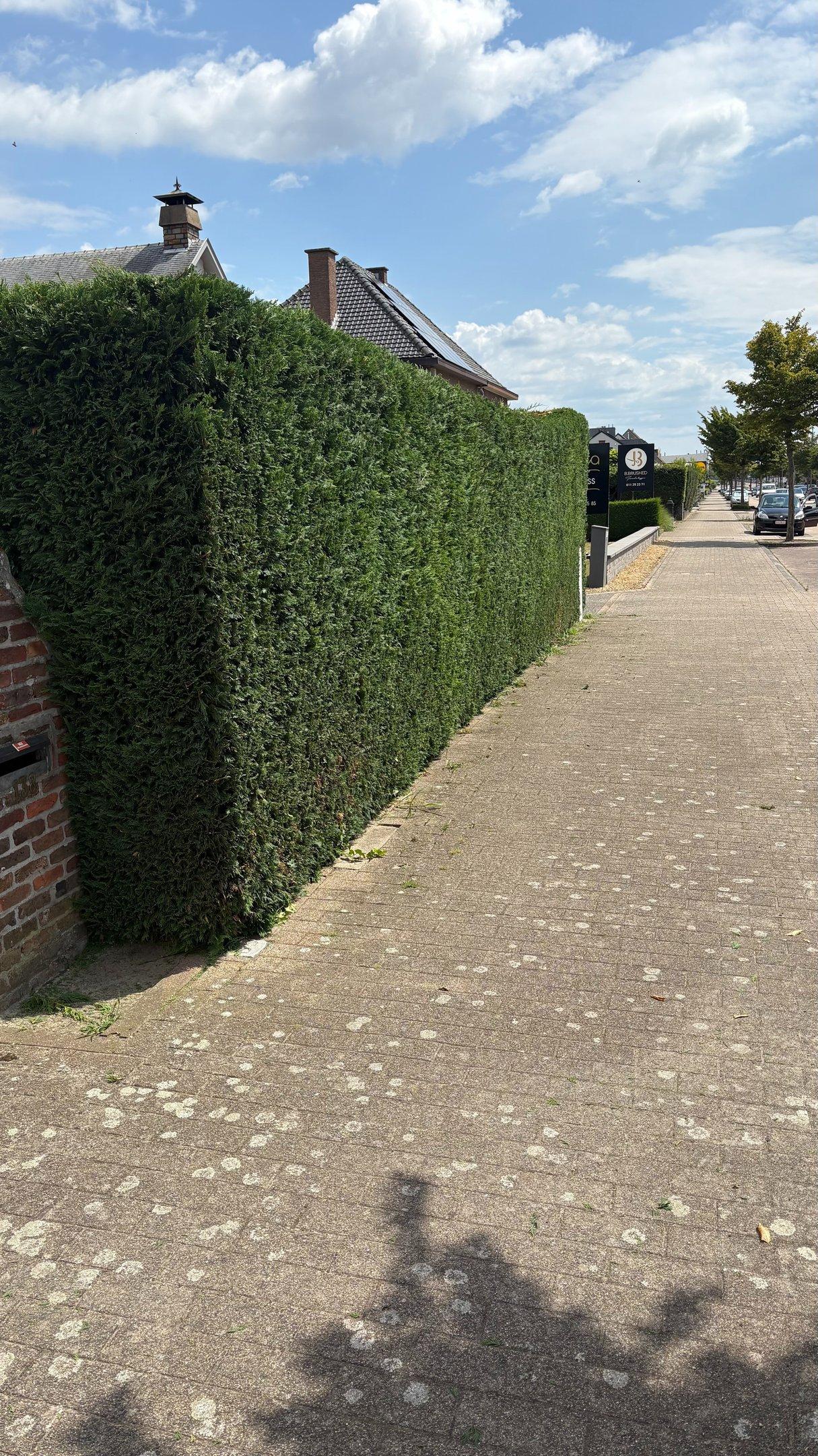 Verzorgde particuliere tuin door Gemaaid